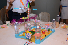 Business_Agility2019-121